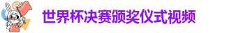 世界杯决赛颁奖仪式视频